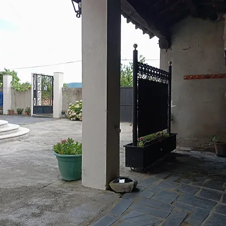 O Toxal * 蒙福特·德·莱蒙斯