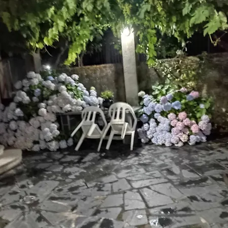 Σπίτι διακοπών O Toxal Monforte De Lemos